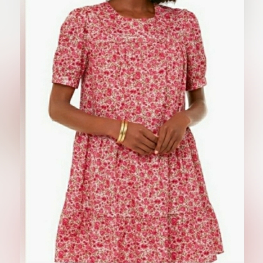 New Tags Tuckernuck Hyacinth House Quinn Rose floral Dress Xs